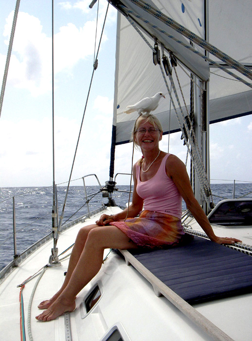 Fauna - Wei&szlig;e Friedenstaube